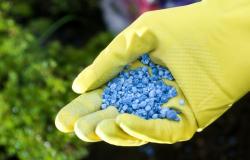 Superfosfato y como utilizarlo en el jardín.