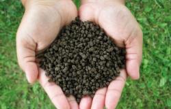 Superfosfato: tipos de fertilizantes y características de aplicación.