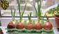 ¿Cómo cultivar correctamente cebollas verdes en el alféizar de una ventana?