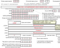 Отчет 4 фсс за 3 квартал