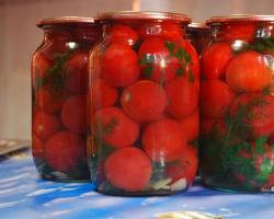 Tomates en escabeche para el invierno: las recetas más deliciosas Los tomates en escabeche más increíbles