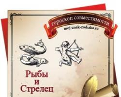 Совместимость тельца и козерога в любви и браке