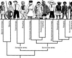 El desarrollo de las razas humanas según las matrices de la conciencia ¿Cuántas razas había en la tierra según Blavatsky?